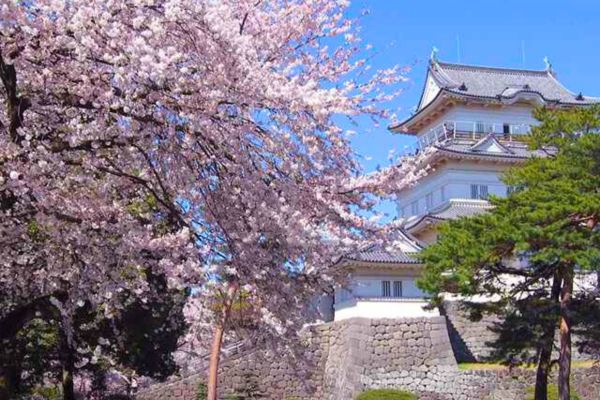 Odawara Castle