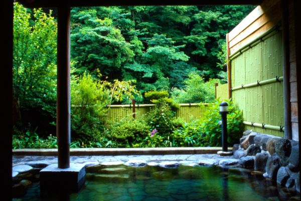 Onsen Ryokan in Hakone